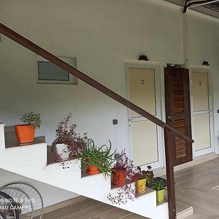 La Maison Du Voyage Tevaitoa Exteriér fotografie